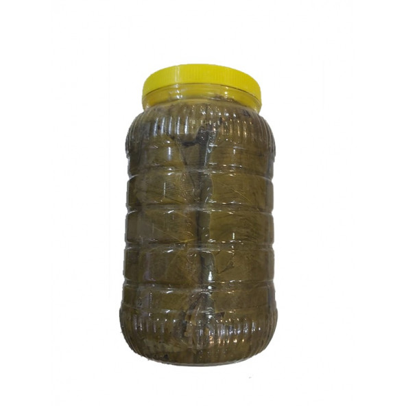 Salamura Asma Yaprağı 1,5 kg-İnce Damarsız Salamura Yaprak - 3