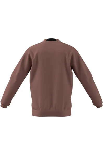 adidas Erkek   Sweatshirt D4T CREW SWEATS JI8165 - 9