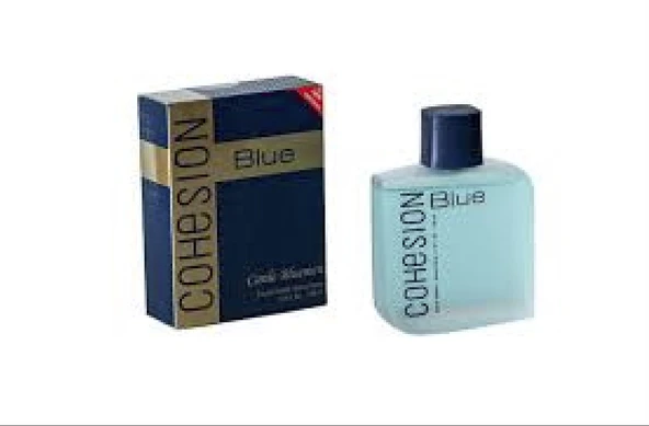 Sensweet Cohesion Blue Erkek Parfüm 100Ml