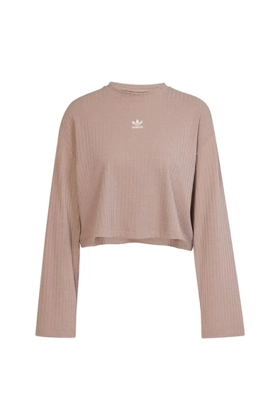 adidas Kadın   Sweatshirt ESS WR LS JD5120