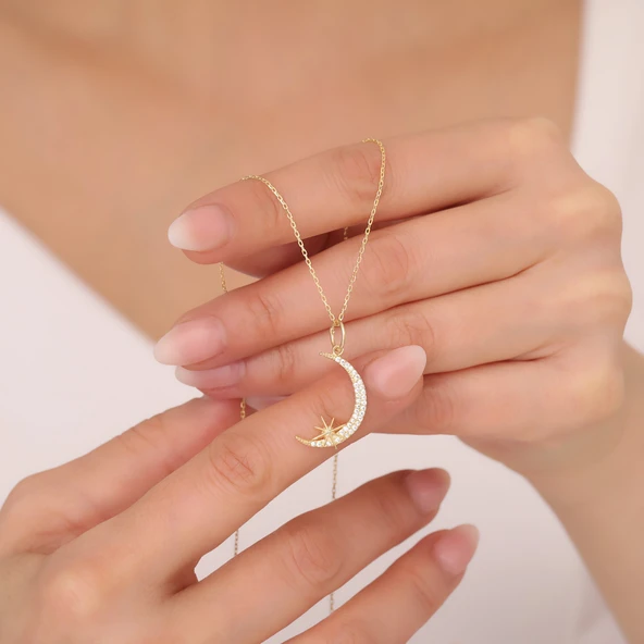 925 Ayar Gümüş Taşlı Ay ve Kutup Yıldızı Kolye ürün görseli