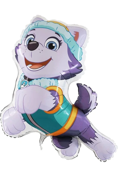 Paw Patrol Skye 7 Yaş Balon Seti Polis Köpek Paw Patrol Skye ve Everst Doğum Günü Balon Seti - Resim 2