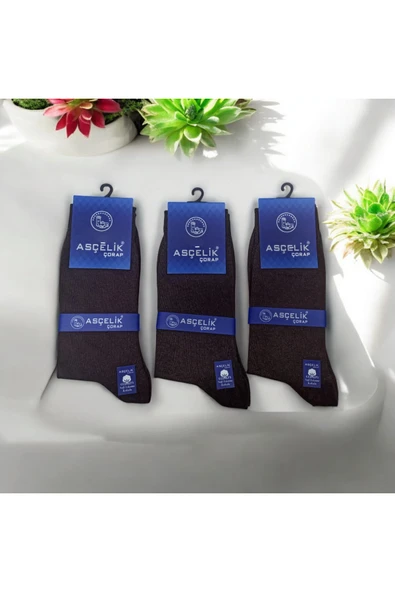Asçelik  3 lü Dikişsiz Yazlık Erkek Çorap Kahverengi ürün görseli