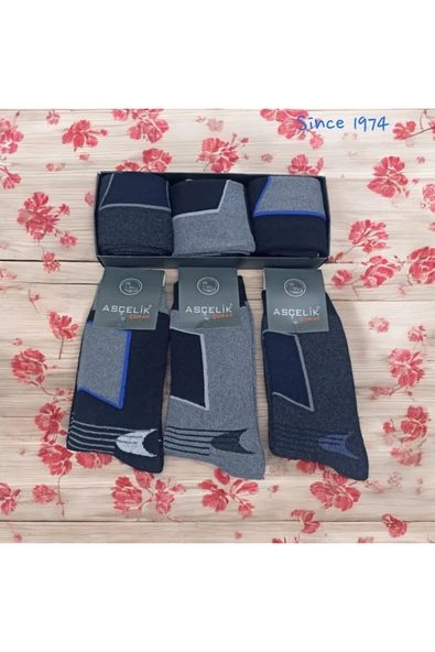 Asçelik  3 lü Havlu Erkek Çorap Asorti Renk - Resim 3