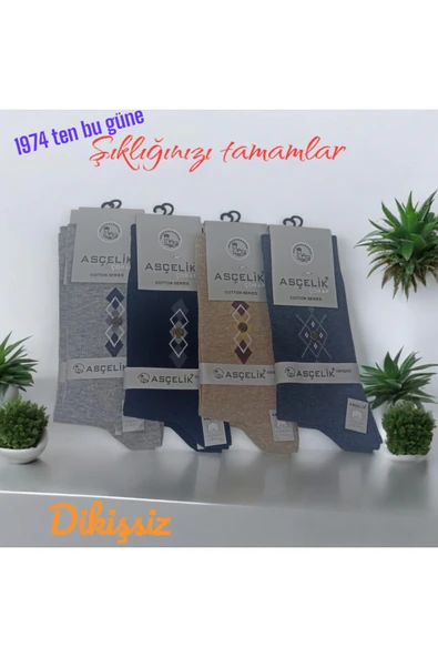 Asçelik  4 lü Dikişsiz Aksesuarlı Erkek Çorap - Resim 2