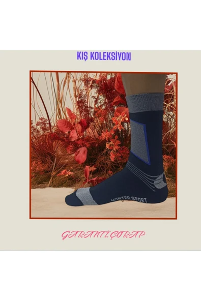 Asçelik  3 lü Havlu Erkek Çorap Asorti Renk - Resim 4