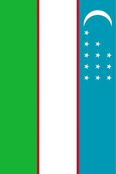 Özbekistan Bayrağı  30x45 cm. - Resim 6