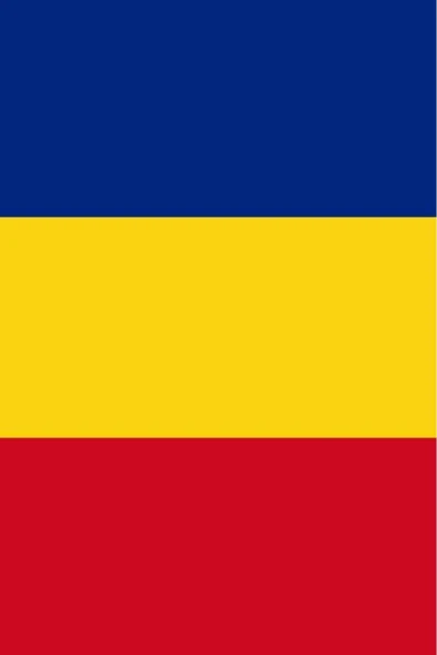 Romanya Bayrağı  30x45 cm. - Resim 4