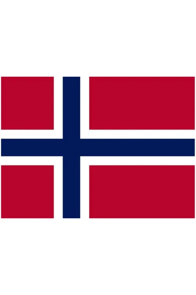 Norveç Bayrağı  30x45 cm. - Resim 5