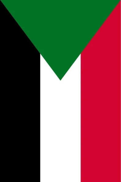 Sudan Bayrağı  30x45 cm. - Resim 5