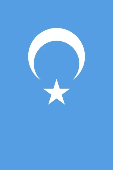 Doğu Türkistan Gönder Bayrağı 70x105 cm. - Resim 2