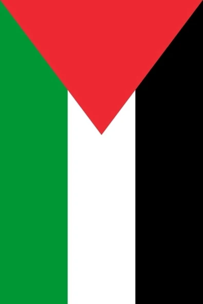 Filistin Gönder Bayrağı  100x150 cm. - Resim 6