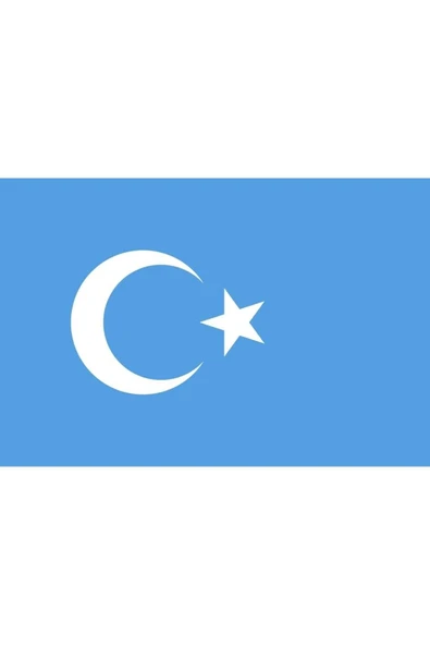 Doğu Türkistan Gönder Bayrağı 70x105 cm. - Resim 7