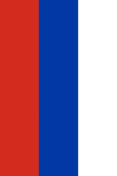 Rusya Gönder Bayrağı  70x105 cm. - Resim 2