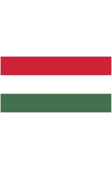 Macaristan Gönder Bayrağı  70x105 cm. - Resim 7