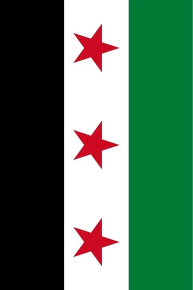 Suriye Gönder Bayrağı  70x105 cm. - Resim 4