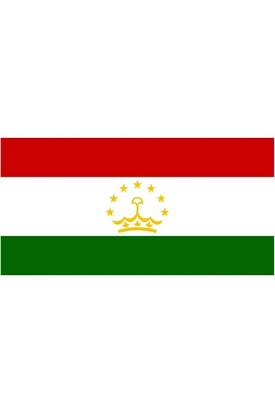 Tacikistan Bayrağı  30x45 cm. - Resim 7