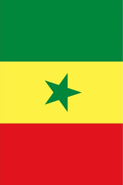 Senegal Gönder Bayrağı  70x105 cm. - 2
