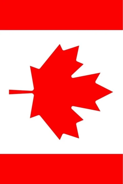 Kanada Bayrağı  30x45 cm. - Resim 6