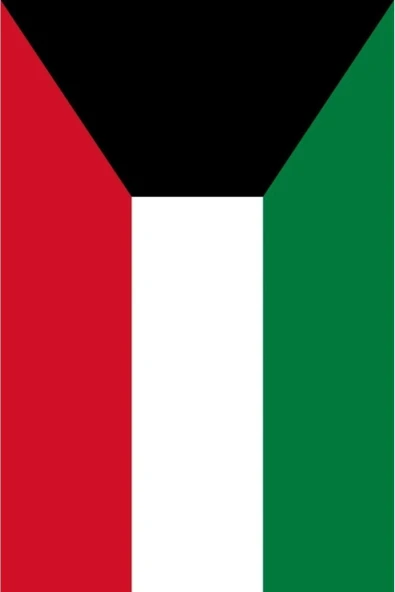 Kuveyt Bayrağı  50x75 cm. - Resim 6