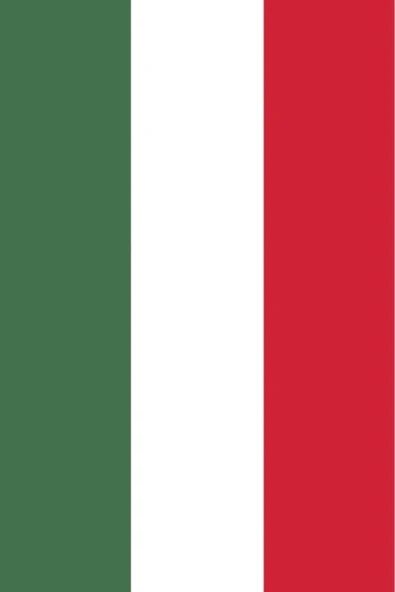 Macaristan Gönder Bayrağı  70x105 cm. - Resim 4