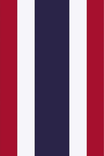 Tayland Gönder Bayrağı 70x105 cm. - 6