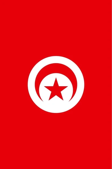 Tunus Gönder Bayrağı  100x150 cm. - Resim 8