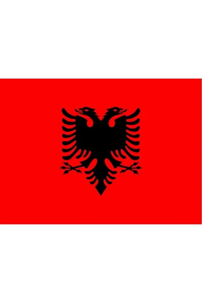 Arnavutluk Bayrağı  30x45 cm. - Resim 3