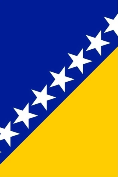 Bosna Hersek Bayrağı  30x45 cm. - 2