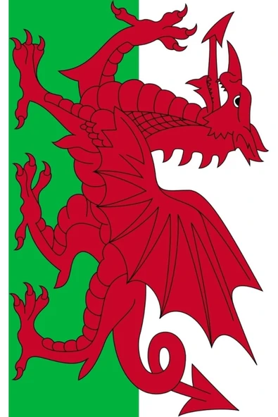 Galler Bayrağı  30x45 cm. - Resim 8