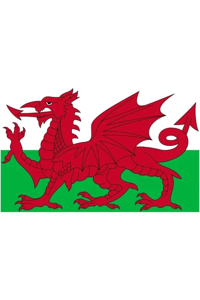 Galler Gönder Bayrağı  70x105 cm. - Resim 5