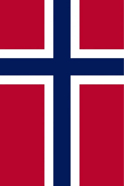 Norveç Bayrağı  30x45 cm. - Resim 2