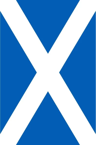 İskoçya Gönder Bayrağı  70x105 cm. - Resim 8