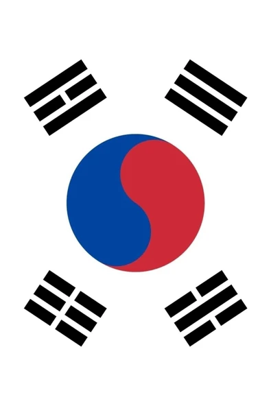 Güney Kore Cumhuriyeti Bayrağı  50x75 cm. - Resim 8