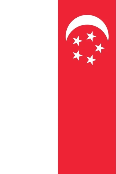 Singapur Gönder Bayrağı  100x150 cm. - Resim 6