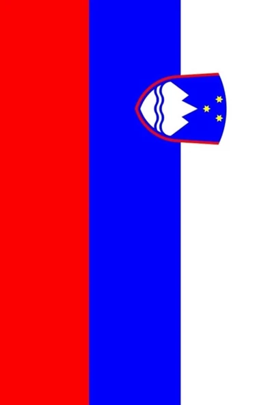 Slovenya Bayrağı  50x75 cm. - 8