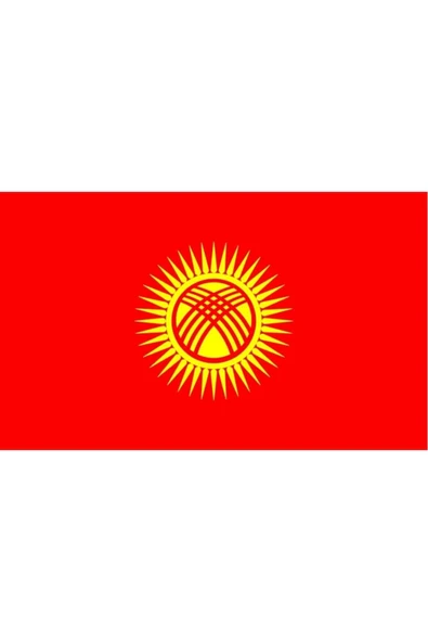 Kırgızistan Gönder Bayrağı  70x105 cm - Resim 7
