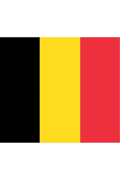 Belçika Bayrağı  50x75 cm. - Resim 3