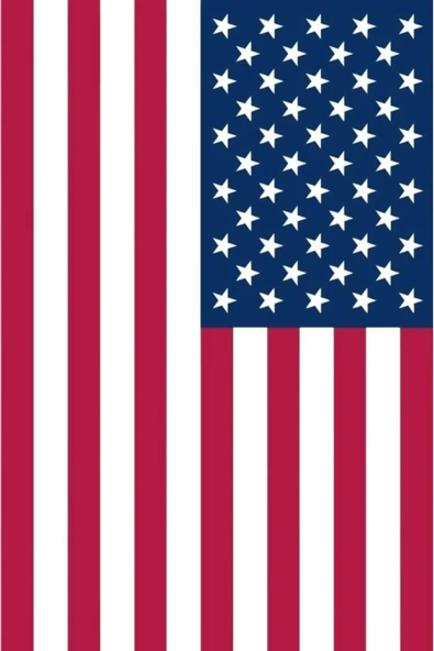 Amerika Birleşik Devletleri ABD Gönder Bayrağı  100x150 cm. - Resim 6