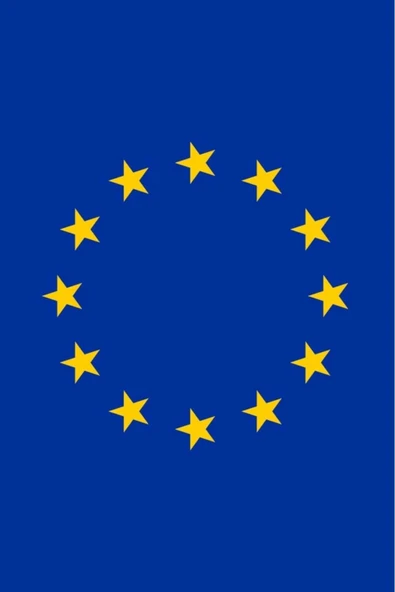 Avrupa Birliği Gönder Bayrağı 100x150 - Resim 7