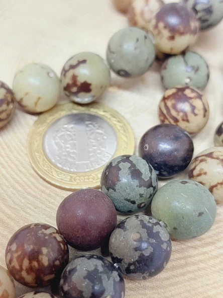 Bodhi Ağacı Dizi 11-12mm (55700) - Resim 2