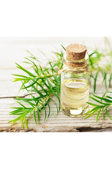 Çay Ağacı Yağı-hint Defnesi Yağı (DİSTİLASYON) 20 ml - Resim 2