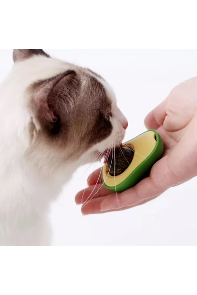 CATS Doğal Kedi Nanesi (avokado Tasarımlı Kedi Yalama Topu) Avocado Catnip