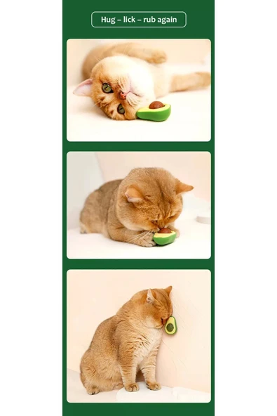 HELLO PET Avakado Kedi Çimi Avacado Catnips Kedi Nanesi Oyuncak Yapışkanlı - 4