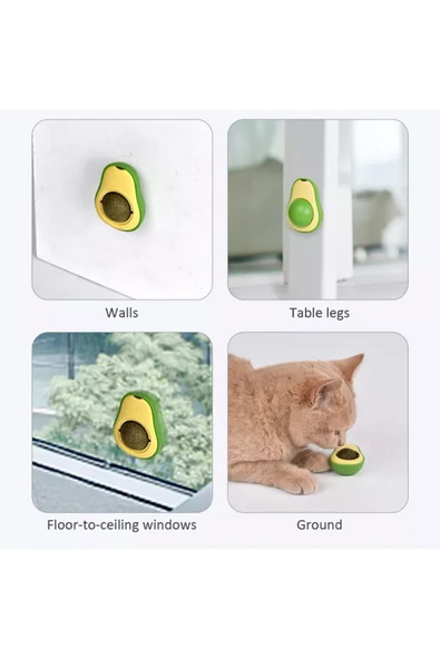 HELLO PET Avakado Kedi Çimi Avacado Catnips Kedi Nanesi Oyuncak Yapışkanlı - 2