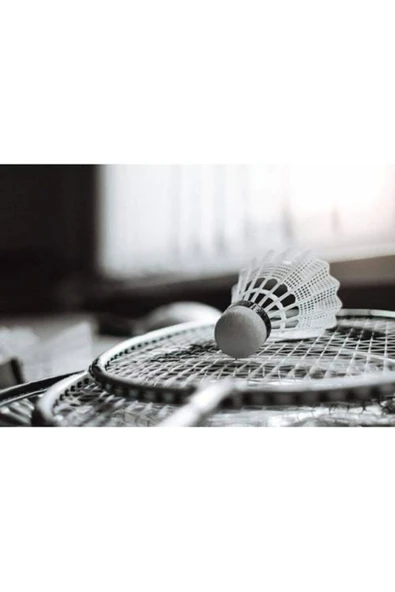 CEPHOME Raket Seti 2 Badminton Raketi 1 Badminton Topu - 2