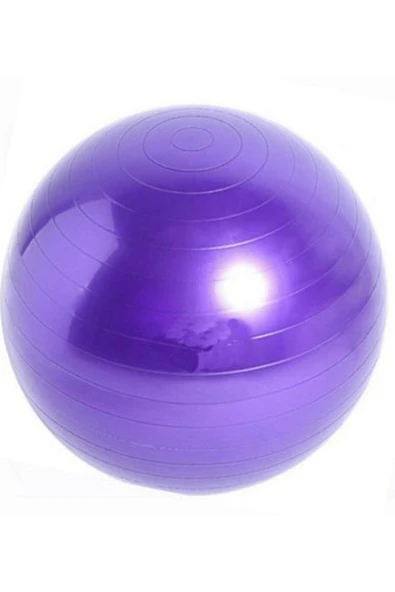 AŞÇIBAŞI TİCARET Mor Deluxe Pilates Topu + 25 cm Çift Yönlü Pompa 65 cm - 3