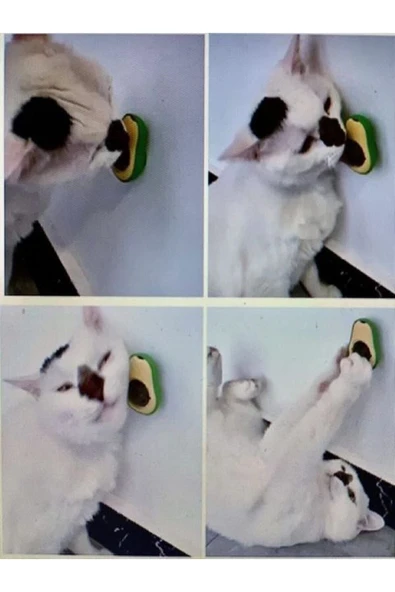 HELLO PET Avakado Kedi Çimi Avacado Catnips Kedi Nanesi Oyuncak Yapışkanlı - 5