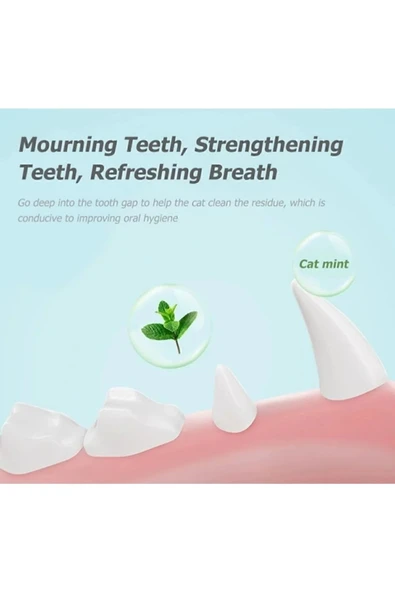 TOYS Doğal Kedi Çimi Avokado Catnip 360 Derece Dönen Kedi Nanesi Oyuncağı - 5