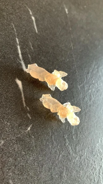 Sedefli Turuncu Renk Melek Şekil Gold Aksesuarlı 2.5cm Epoksi Küpe El Yapımı Hediyelik - Resim 3